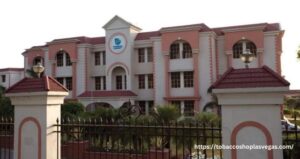 Uttaranchal University course admissions